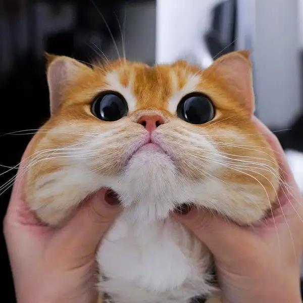 عکس پست شده توسط کاربر در تاریخ Sun Jan 18 2026 12:55:42 GMT+0330 (Iran Standard Time)