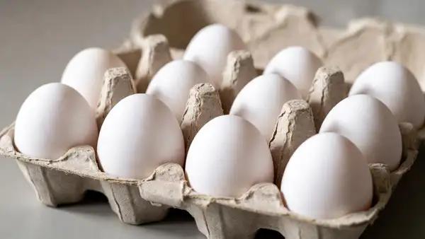 عکس پست شده توسط کاربر در تاریخ Tue Jan 27 2026 08:06:57 GMT+0330 (Iran Standard Time)